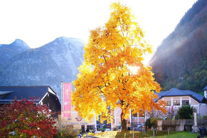 alpine-hallstatt-day-trip-from-vienna-incl-admont-abbey-visit