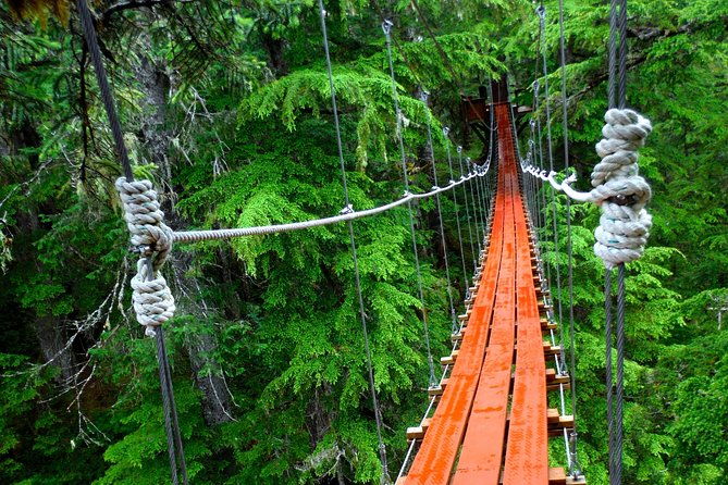alpine-zipline-adventure-in-juneau-ak