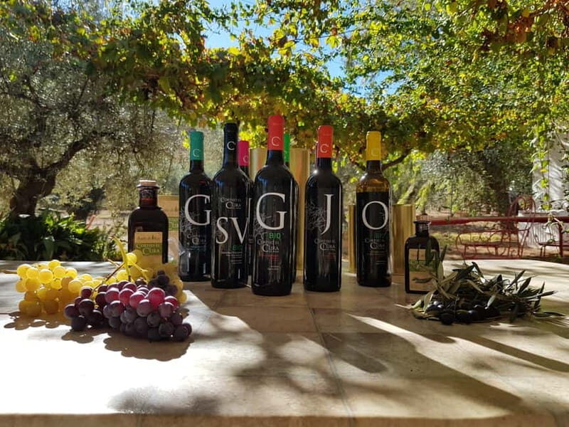 Alpujarra of Almería: Organic Wine tour and local aperitif - The Tasting Session: Five Organic Wines & Local Pairings