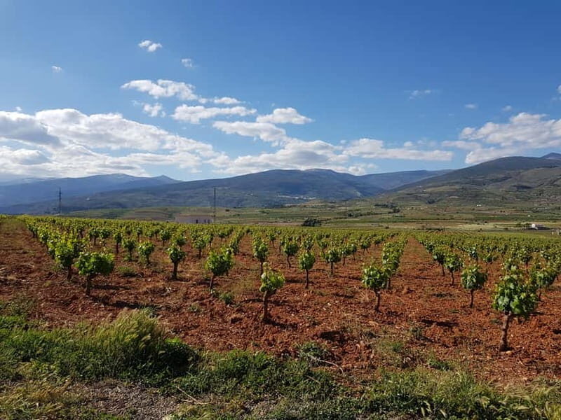 Alpujarra of Almería: Organic Wine tour and local aperitif - Practicalities and Considerations