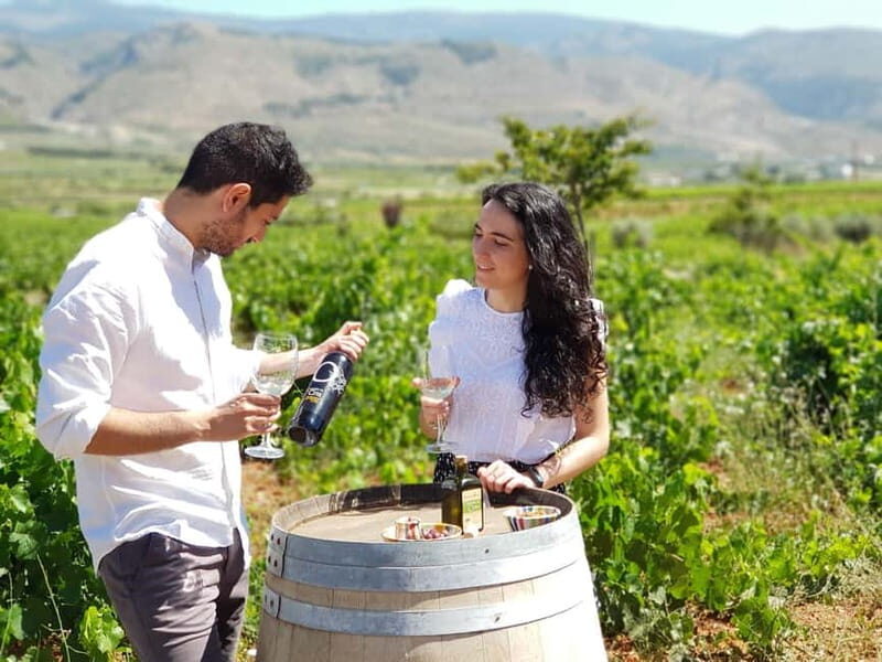 Alpujarra of Almería: Organic Wine tour and vegan aperitif - Exploring the Alpujarra of Almería: Organic Wine Tour and Vegan Aperitif