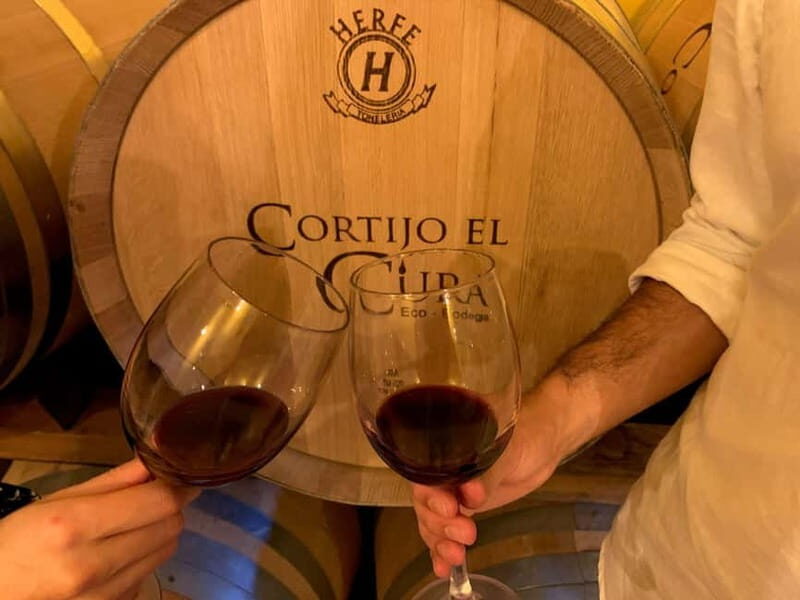 Alpujarra of Almería: Organic Wine tour and vegan aperitif - Final Thoughts