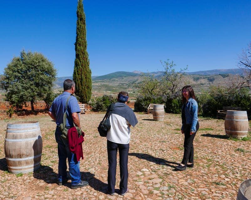 alpujarra-wine-tour-and-local-aperitif-in-organic-winery