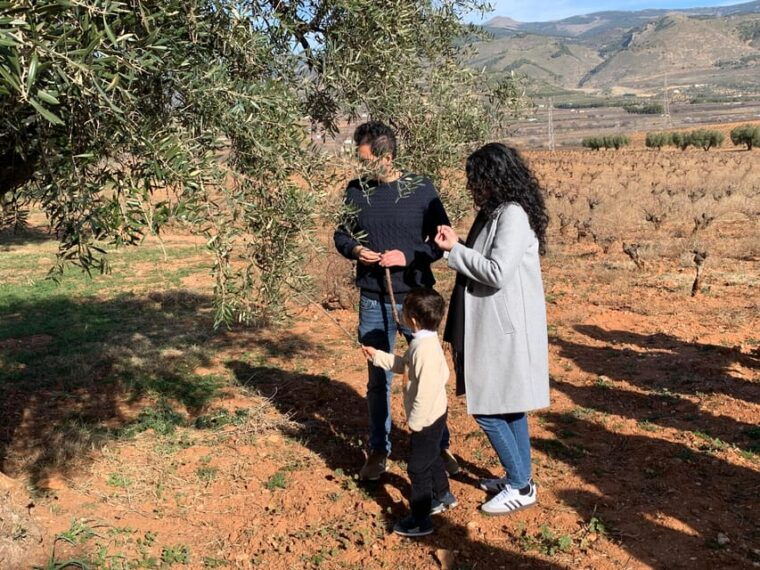 alpujarra-wine-tour-and-local-aperitif-in-organic-winery