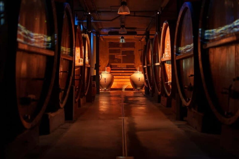 Alsace: Alsatian Wine Tasting Tour and Alsatian Lunch - The Wine Tasting Experience