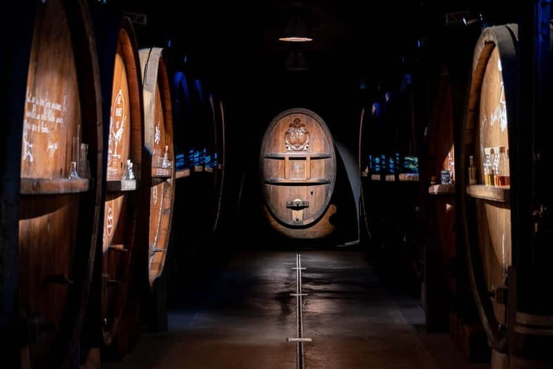 Alsace: Alsatian Wine Tasting Tour and Alsatian Lunch - Who Is This Tour Best For?