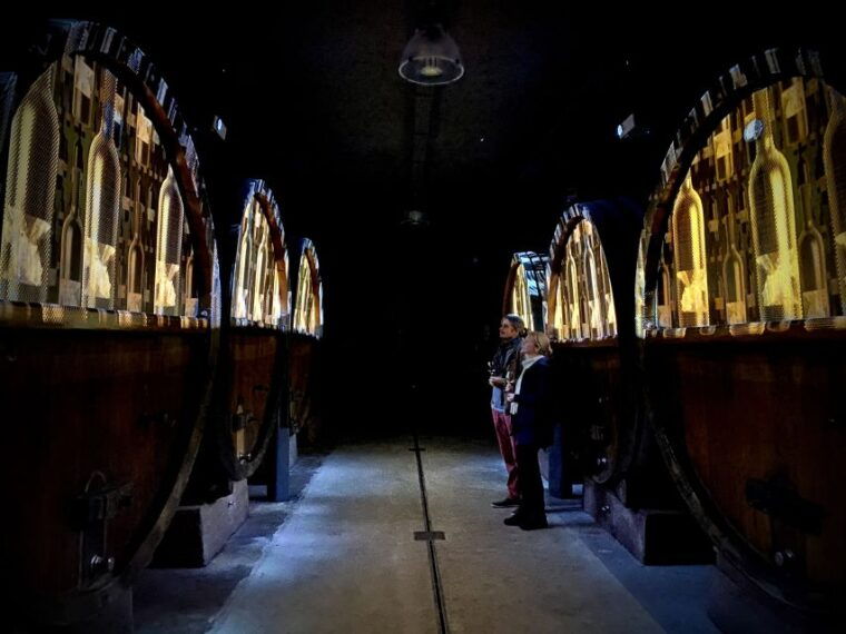 alsace-alsatian-wine-tasting-tour-and-lunch