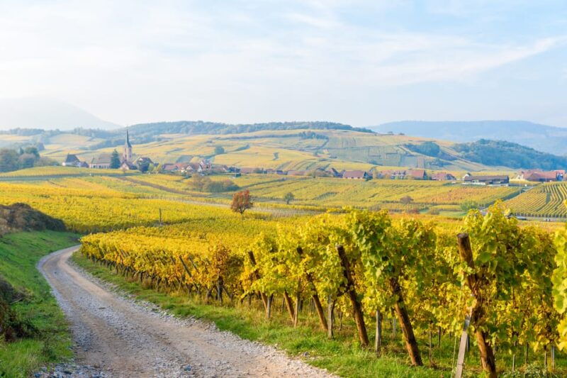 alsace-full-day-wine-tour-tastings-from-strasbourg