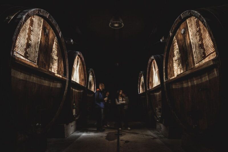 alsace-guided-wine-tasting-and-cellar-visit