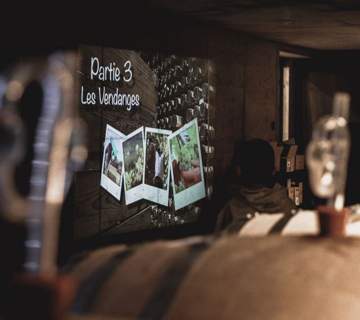 alsace-guided-wine-tasting-and-cellar-visit
