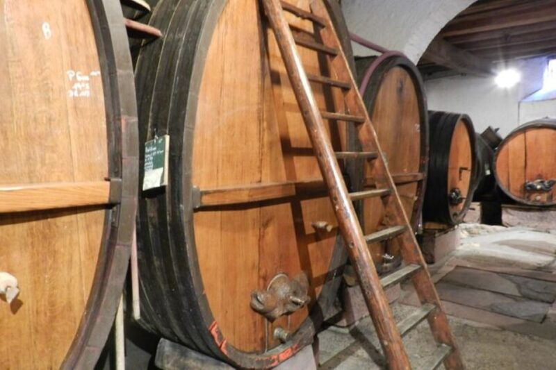 alsace-half-day-wine-tour-from-colmar-2