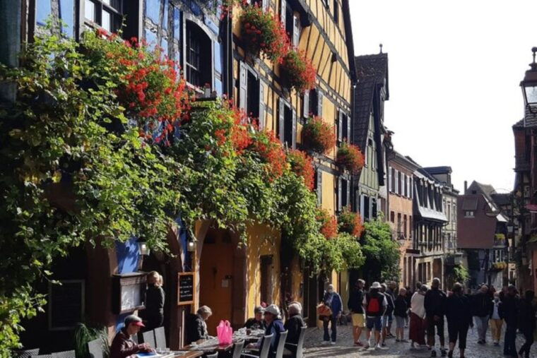 alsace-half-day-wine-tour-from-colmar-2