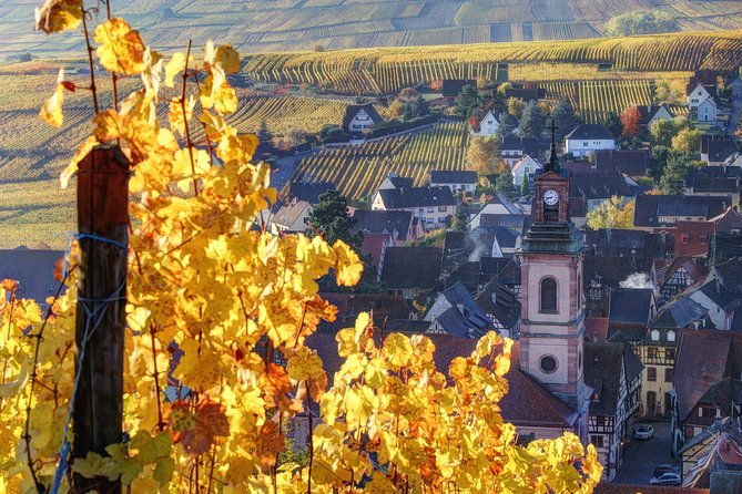 alsace-half-day-wine-tour-from-colmar