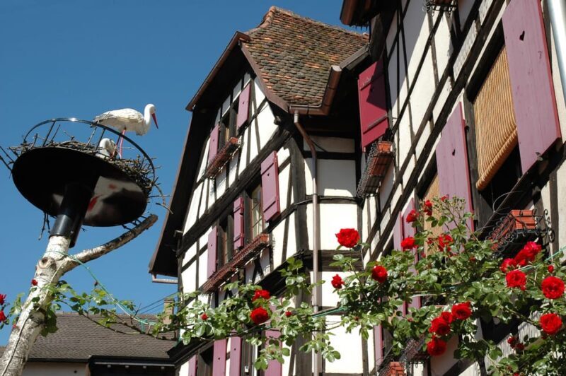 Alsace Half-Day Wine Tour from Strasbourg - Who Would Love This Tour?