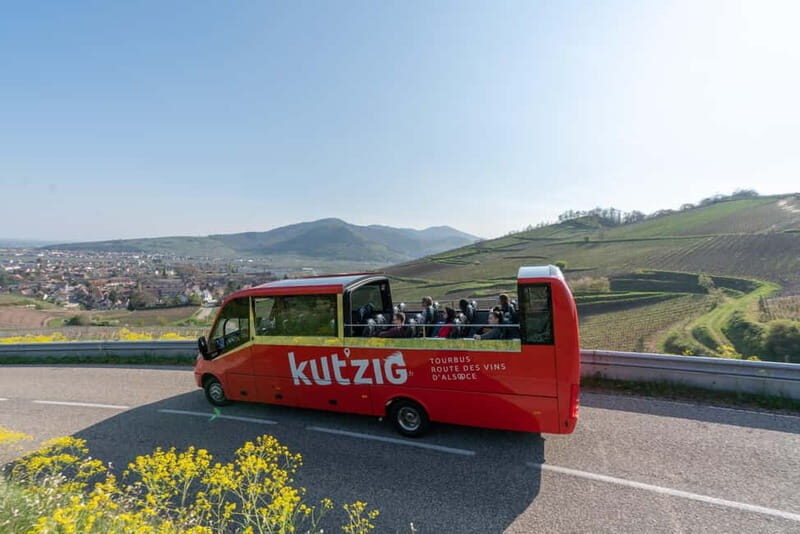 Alsace Wine Route: multi-stop convertible bus tour - The Experience: What You Can Expect