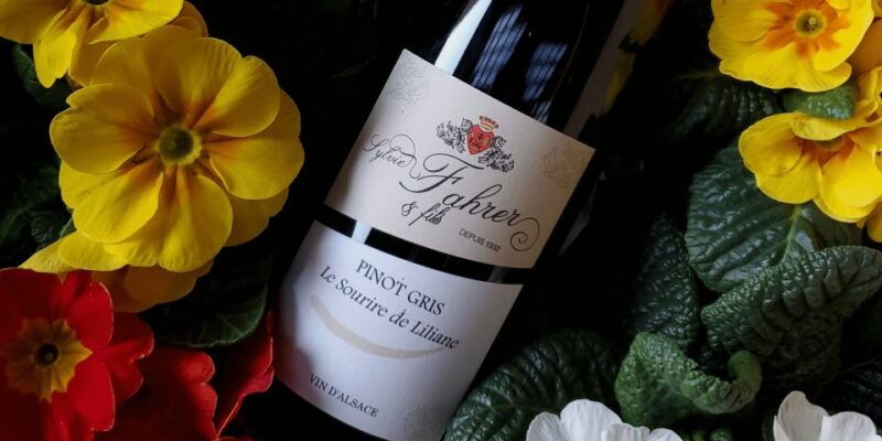 Alsace: Winery Tour and Alsatian Wine Tasting - Authentic Experiences and What Reviewers Say