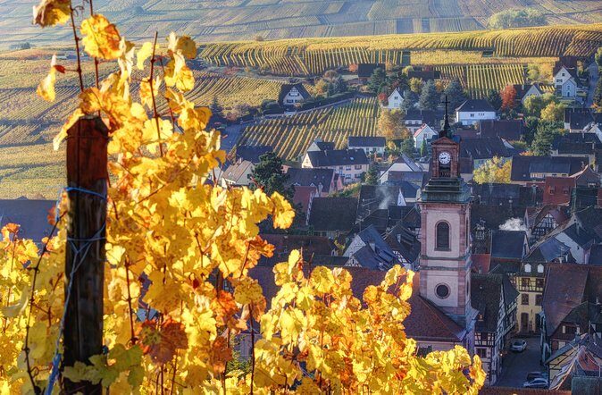 Alsace's Gems Small Group Day Tour from Colmar - An In-Depth Look at the Itinerary