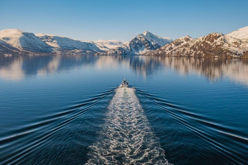 alta-altafjord-whale-watching-in-a-heated-boat