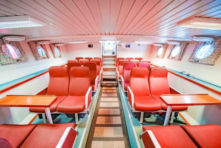 alta-altafjord-whale-watching-in-a-heated-boat