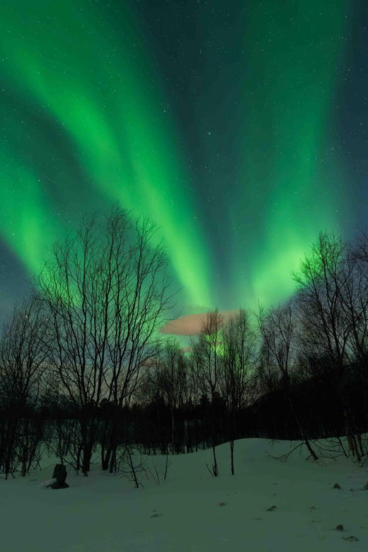alta-aurora-hunt-tour-with-professional-photographer