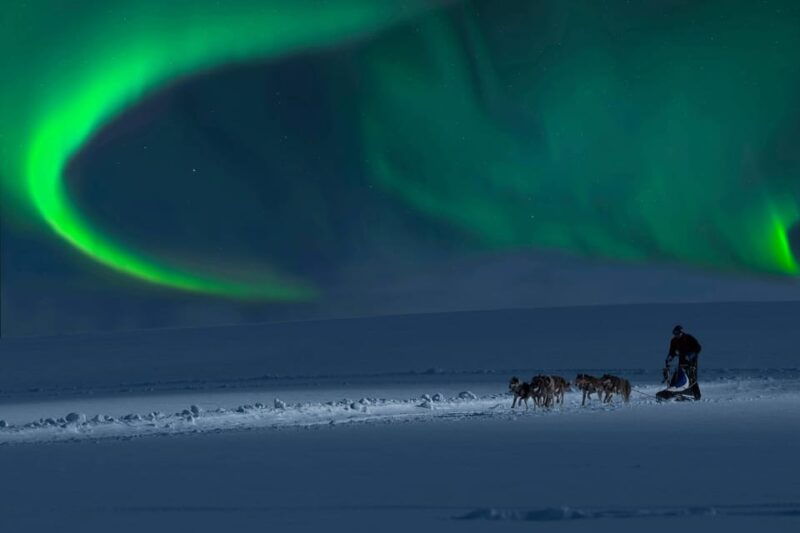alta-dog-sledding-trip-under-the-northern-lights
