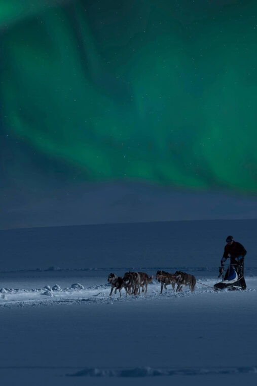 alta-dog-sledding-trip-under-the-northern-lights