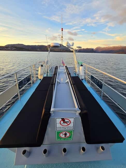 Alta Fjord: Sunset Boat Tour - Additional Practical Details