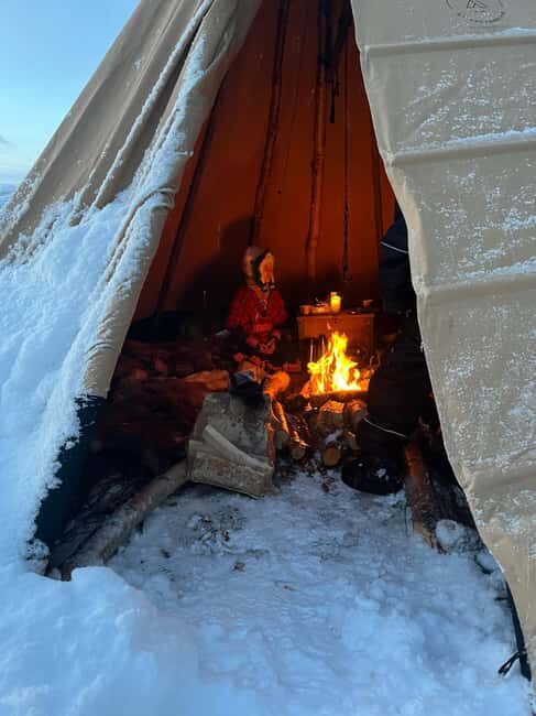 Alta: Reindeer Ride - An In-Depth Look at the Alta Reindeer Ride