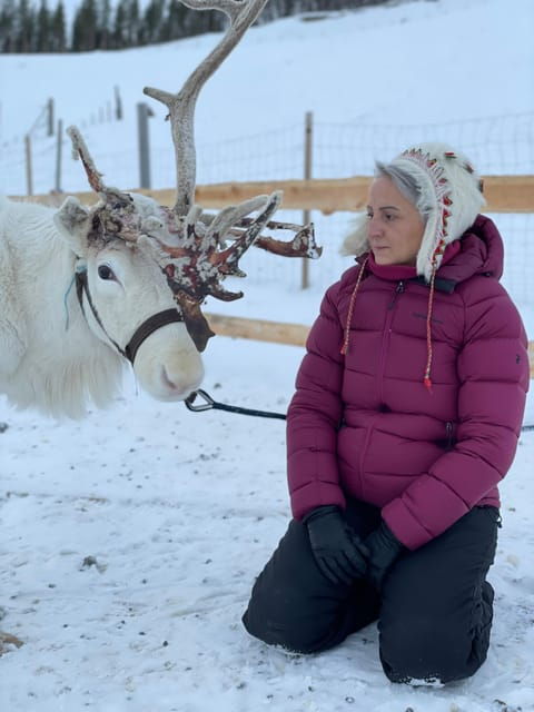 alta-sami-cultural-experience-lavvu-reindeers