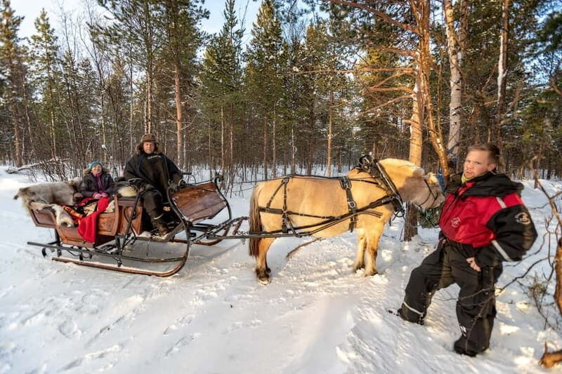 Alta: Sleigh Ride in the Arctic Countryside - Who Will Love This Tour?