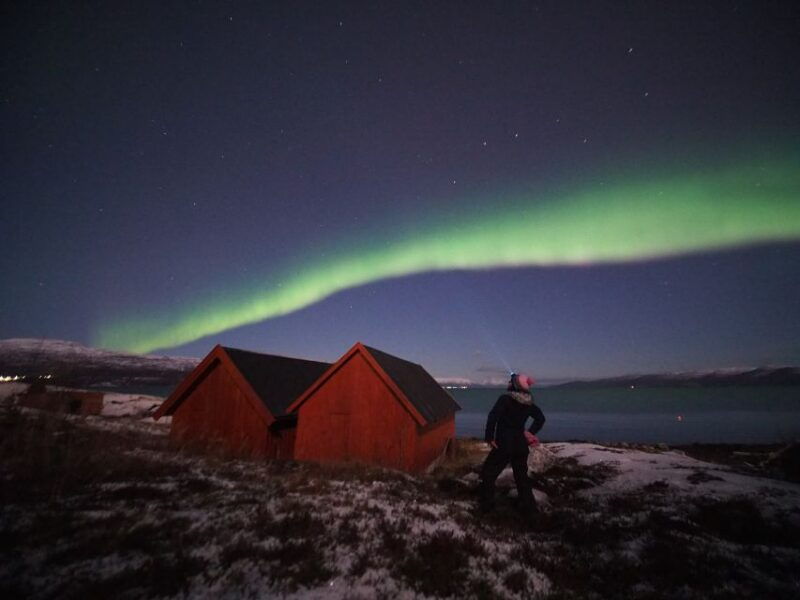 alta-small-group-guided-northern-lights-tour