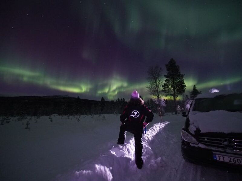 alta-small-group-guided-northern-lights-tour