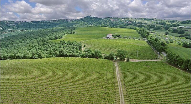 alta-tuscia-ebike-tour-with-visit-to-antica-cantina-leonardi