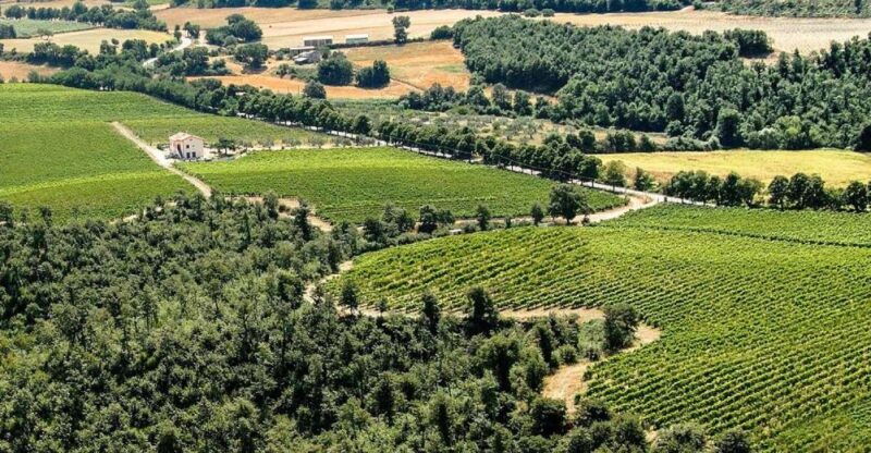 alta-tuscia-ebike-tour-with-visit-to-antica-cantina-leonardi