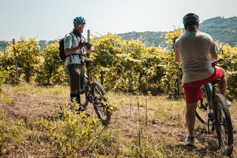 alta-tuscia-ebike-tour-with-visit-to-antica-cantina-leonardi