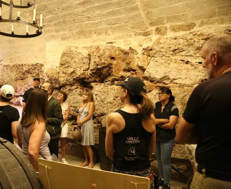Altamura: Wine Museum Guided Tour with Tasting - Key Points