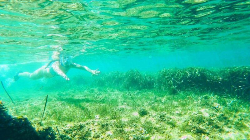 altea-guided-kayak-tour