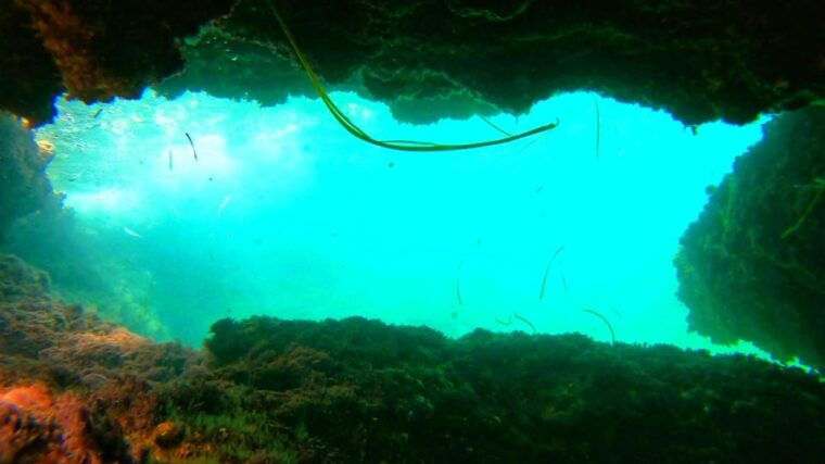 altea-guided-kayak-tour