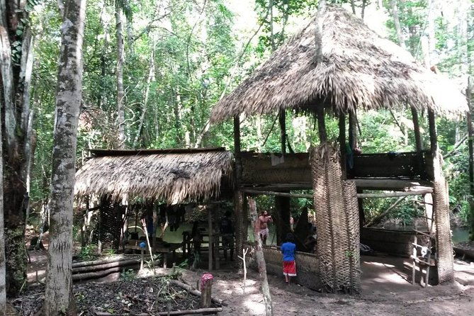 alter-do-chao-amorim-tour