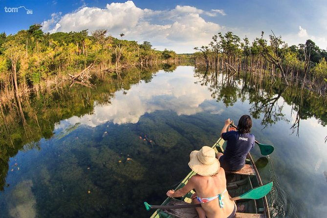alter-do-chao-flona-jamaraqua-tour