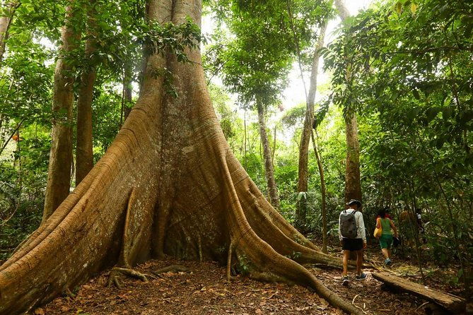 alter-do-chao-flona-jamaraqua-tour