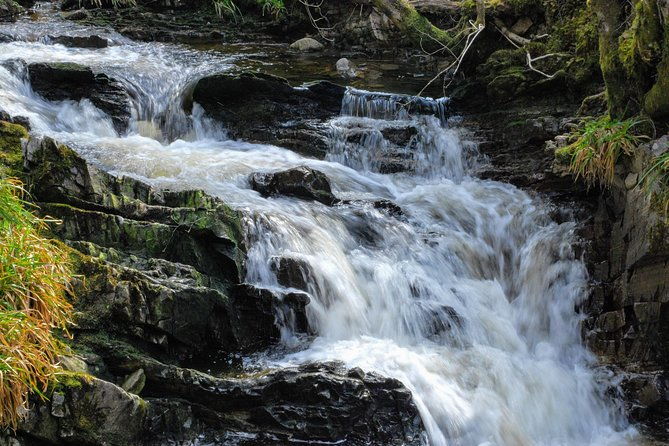 alternative-loch-ness-tour-by-secret-highlands