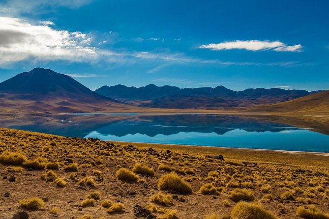 altiplanic-lagoons-piedras-rojas-tour-from-san-pedro-de-atacama