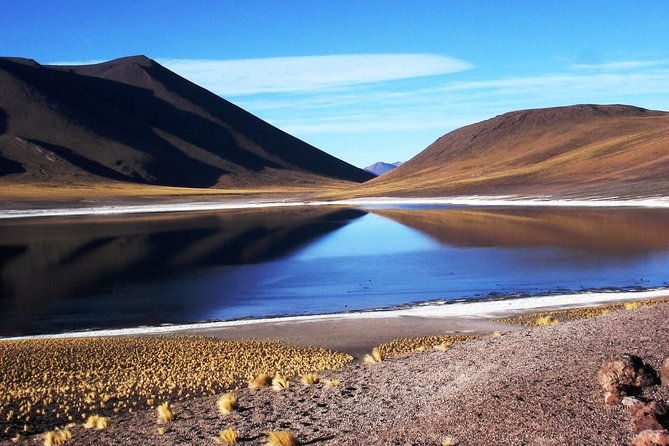 altiplanic-lagoons-piedras-rojas-tour-from-san-pedro-de-atacama