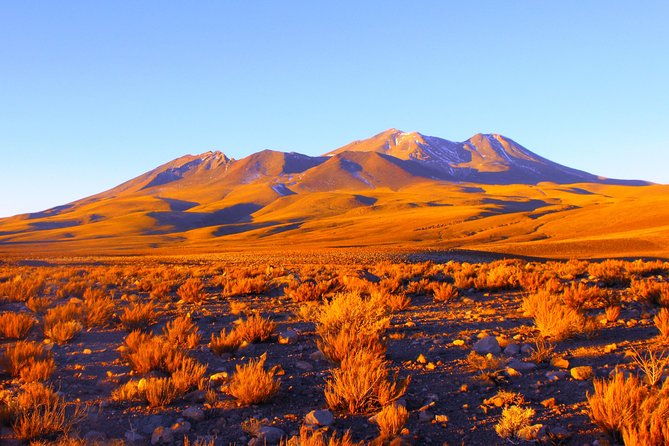 altiplanic-lagoons-piedras-rojas-tour-from-san-pedro-de-atacama