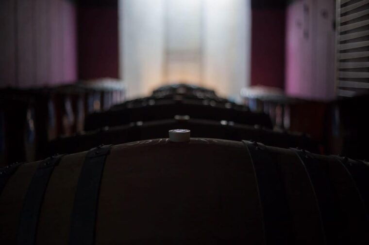 alto-piemonte-classic-wine-tasting