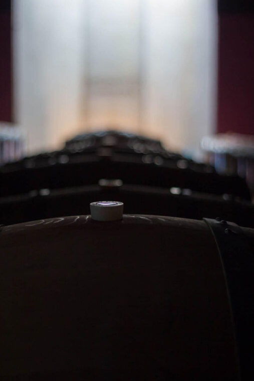 alto-piemonte-classic-wine-tasting