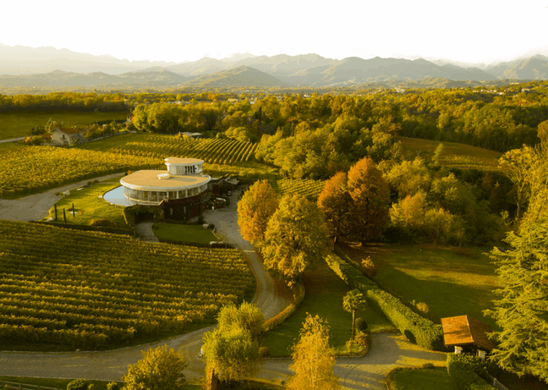 alto-piemonte-private-wine-tasting