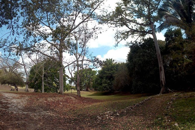 altun-ha-monkey-sanctuary-and-rum-factory-tour-from-belize-city