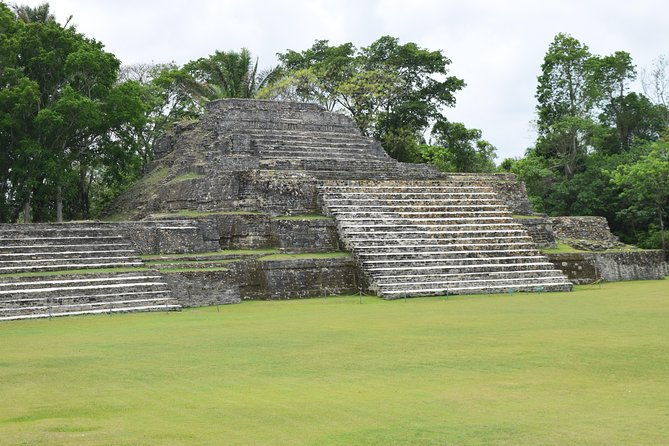 altun-ha-rainforest